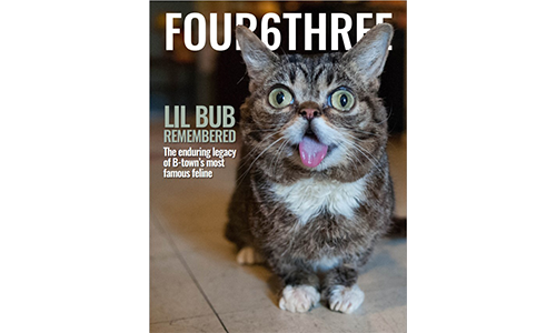 lil bub